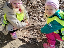 img_20250310_104843