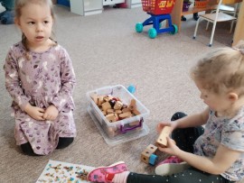 img_20250311_094723