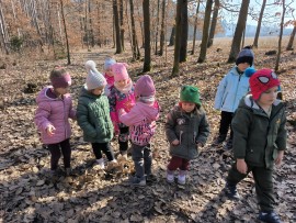 img_20250307_104507