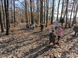 img_20250307_104530