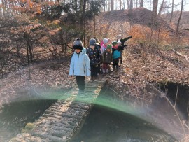 img_20250307_104704