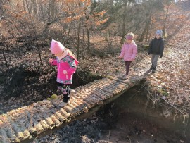 img_20250307_104733