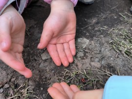 img_20250307_105953