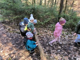 img_20250310_104712