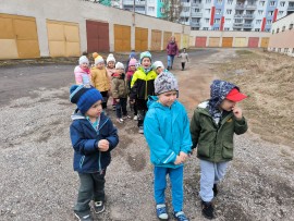 img_20250311_102437
