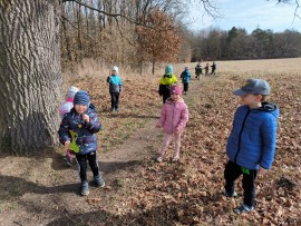 img_20250312_102344