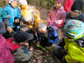 img_20250312_110421