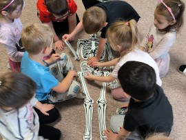 img_20250325_083953