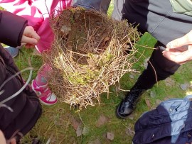 3250320-img_20230427_110704