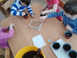 img_20250404_085321