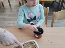 img_20250404_085735