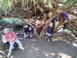 img-20250411-wa0009