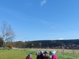 img_20221102_103524