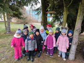img_20250120_103229