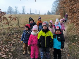 img_20241127_104522