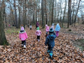 img_20241127_105518