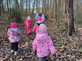 img_20241129_103459