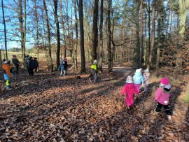 img_20241129_103633