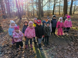 img_20241129_103800