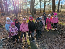 img_20241129_103803