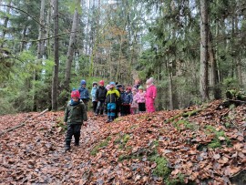 img_20241202_104436