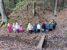 img_20241202_104556