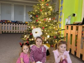 img_20241203_065409