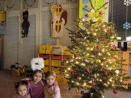 img_20241203_065554