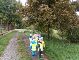 img_20241003_105642