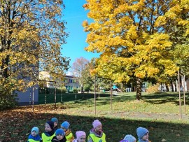 img_20241016_103031
