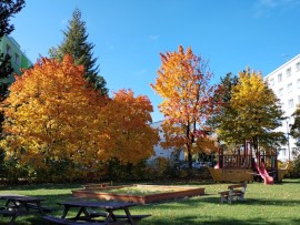 img_20241016_122234