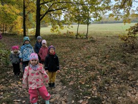 img_20241023_105245_1