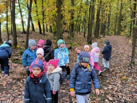 img_20241023_105340