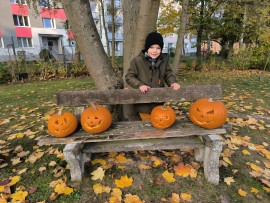 img_20241024_164343