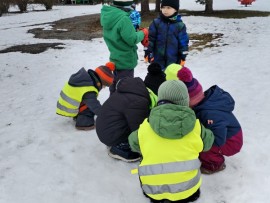 img_20250221_110801