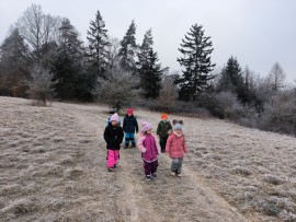 img_20250204_103922