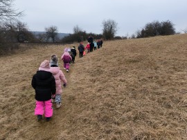 img_20250210_103631