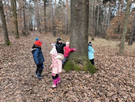 img_20250211_102802