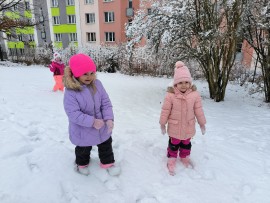 img_20250214_102823