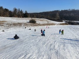 img_20250220_102931
