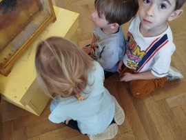 img-20250411-wa0044