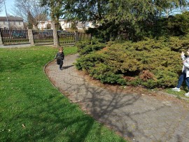 img_20250416_105244
