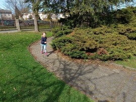 img_20250416_105247