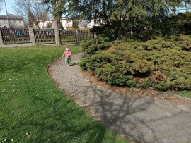 img_20250416_105315