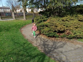 img_20250416_105317