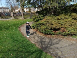 img_20250416_105320