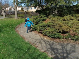 img_20250416_105446