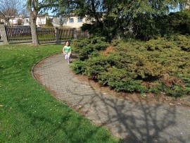 img_20250416_105449