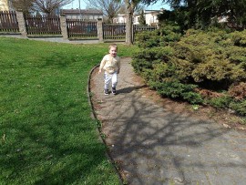 img_20250416_105520