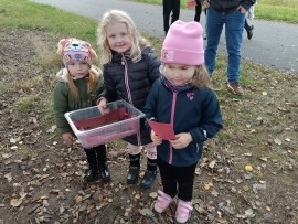 img_20241024_171603